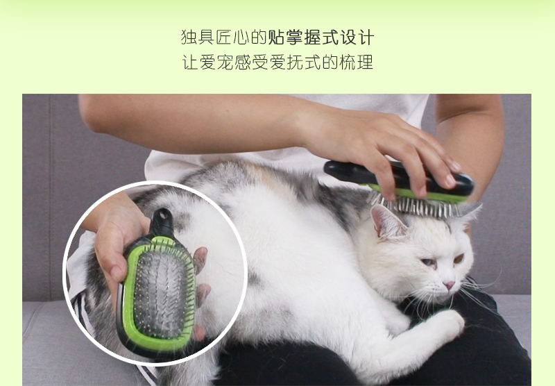 酷迪寵物用品|貓狗同時飼養(yǎng)的學問深，你了解多少呢？